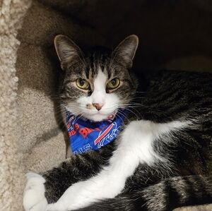 Women's Clothing, Jewelry, Accessories, Home Decor & More